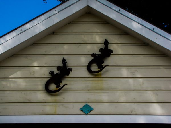 Cost of Shiplap Siding Installation in Salem